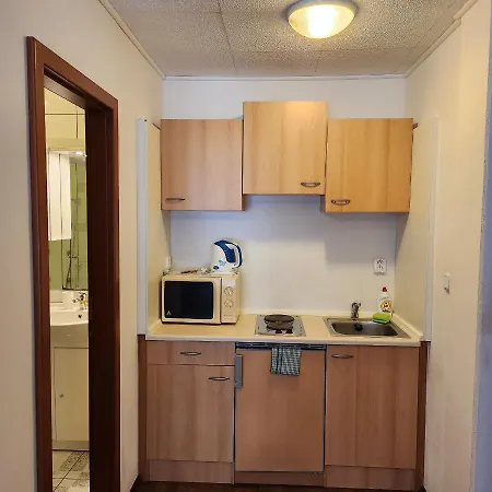 Apartment Ubytovani U Maxe Lipno nad Vltavou